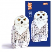 Rosie flo pop up pet owl